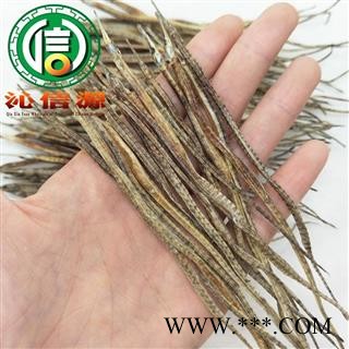 【满包邮】海龙小条统货散装广东产地直供尖海龙 小海龙 沁信源中药批发图3