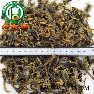 【满包邮】全蝎清水全干货散装山东产地直供全虫蝎沁信源中药批发图2