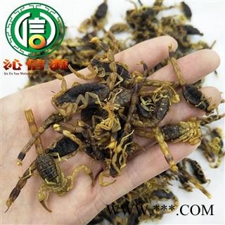 【满包邮】全蝎清水全干货散装山东产地直供全虫蝎沁信源中药批发图3