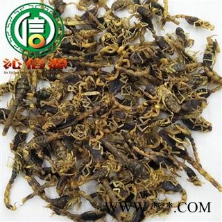 【满包邮】全蝎清水全干货散装山东产地直供全虫蝎沁信源中药批发图4