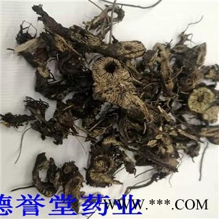 德誉堂药业 升麻 统 升麻 批发各种中药材图3