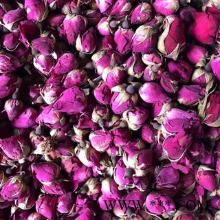 月季花 月季花 玫瑰嫁接月季花 产地 山东省 买好药找娟子图3