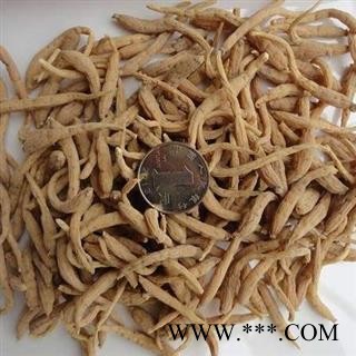 太子参 太子参大统 产地 贵州省 产地直销 重在质量图2