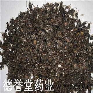 虻虫 大牛虻虫 统  产地 陕西 德誉堂批发各种中药材图4