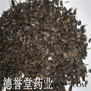 虻虫 大牛虻虫 统  产地 陕西 德誉堂批发各种中药材图3