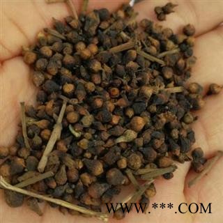 中药材水翁花别名水雍花、大蛇药 产地广西 品种齐全 安国市场批发零售大全图2