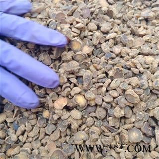 延胡索元胡正品保证实图拍照 中药材批发 丽丽药业图4