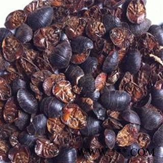 土元  土鳖虫 饱满统 产地 山东省 国药堂 专注品质图3