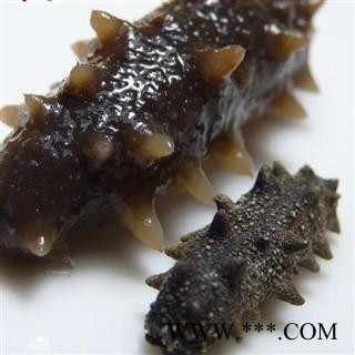 小丽百草行海参刺海参辽海参淡盐水产地直销图2