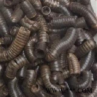 小丽百草行 马陆 无硫 千足虫 百节虫图2