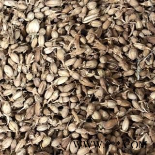 佛手花 佛手花选货 佛柑花 正品 新货 产地 广西壮族自治区 买好药找娟子图3