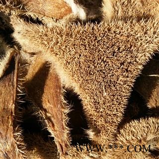 刺猬皮 统货 产地 四川省图2