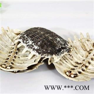 鳖甲 生鳖甲正品鳖甲保证质量7天无理由退货退款 中药材批发 丽丽药业 丽丽药业图2