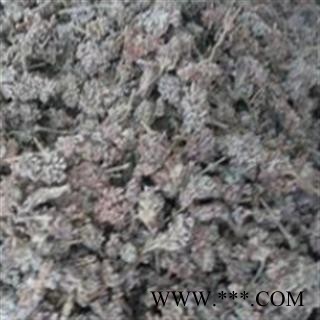 密蒙花 统 产地 四川省图2