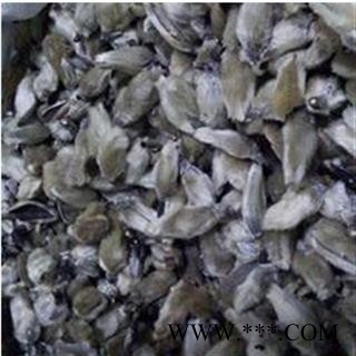 辛夷 辛夷花  低价出售 产地 河南省图2