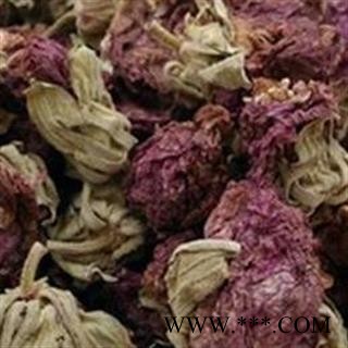 圣草康园无硫芙蓉 芙蓉花地芙蓉图2