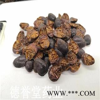 德誉堂药业土元 选装 土鳖虫 产地 山东 批发各种中药材图2