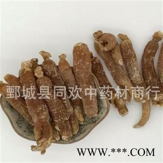 【30支低糖红参】@【同欢药材】中药材批发供应  规格齐全 量大从优  产地 吉林省图2