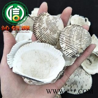 【满包邮】瓦楞子个子统货散装山东产地直供煅瓦楞子 粉蛤壳 蚶子壳 沁信源中药批发图3