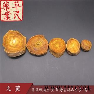 草民甄选野生大黄 正品塘古特大黄 纯野生 薄片统货 专业批发量大从优图4