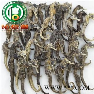 【满包邮】清水海马平均0.5克每条散装广东产地直供沁信源中药批发图4