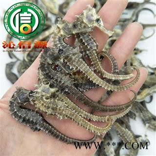 【满包邮】清水海马平均0.5克每条散装广东产地直供沁信源中药批发图3