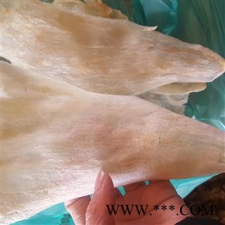 吉康药业鱼胶 大个鱼胶图2