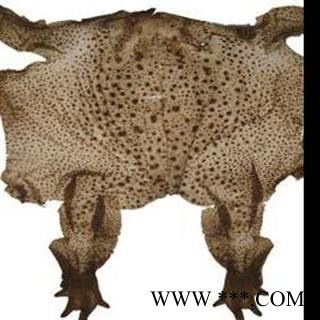 吉康药业蟾衣 整张  今年新货图2