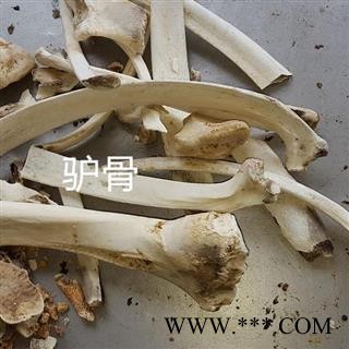 小丽百草行驴胫骨 驴骨图2