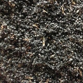 黑蚂蚁 正品 优质 保质 精选 清水 优惠 促销图2