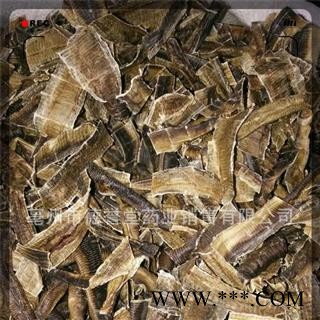 地龙 统 地龙 产地 广西 本店批发各种中药材 花茶图3