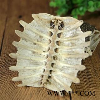 鳖甲 全鳖甲 整片鳖甲 正品保证质量7天无理由退货退款 中药材批发 丽丽药业图4