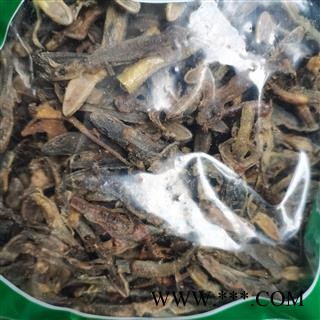 天龙 壁虎统货 实图拍照 正品保证质量7天无理由退货退款 中药材批发 丽丽药业图2