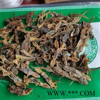 天龙 壁虎统货 实图拍照 正品保证质量7天无理由退货退款 中药材批发 丽丽药业图4