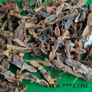 天龙 壁虎统货 实图拍照 正品保证质量7天无理由退货退款 中药材批发 丽丽药业图3