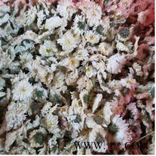 菊花 七月菊 产地 安徽省图2