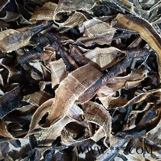 地龙 海南地龙次全开个 产地 海南省图3