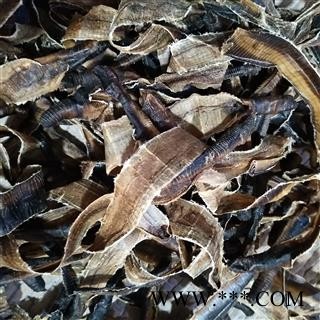 地龙 海南地龙次全开个 产地 海南省图4