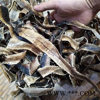 地龙 海南地龙次全开个 产地 海南省图2