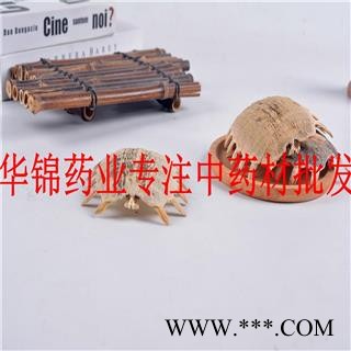 鳖甲 鳖甲陈货统货货很干净无杂质实物拍摄 产地 山东省图3