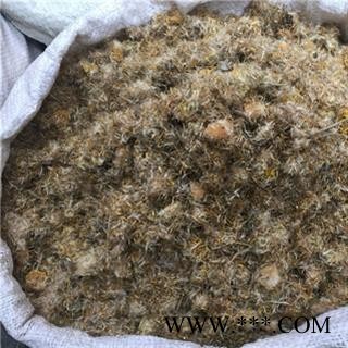 诺源药材行正品中药材旋覆花图2