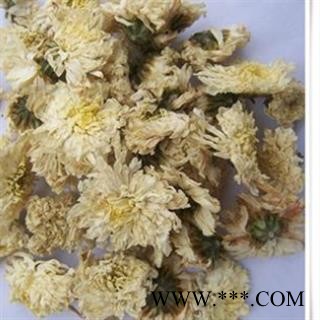 贡菊花 七月菊 产地 安徽省黄山市图2