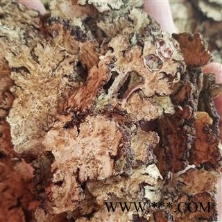 川芎 薄片 统货 产地 四川省图2