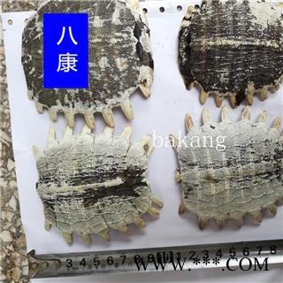 鳖甲 02选 产地 江苏省图4