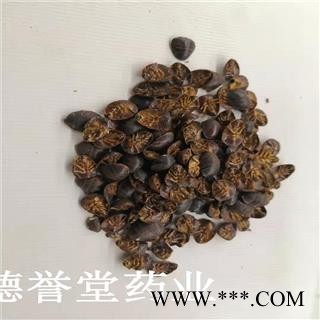 德誉堂药业 土鳖虫 小统 土元 土鳖虫 产地 山东图2