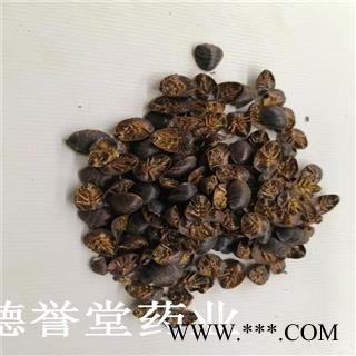 德誉堂药业 土鳖虫 小统 土元 土鳖虫 产地 山东图4