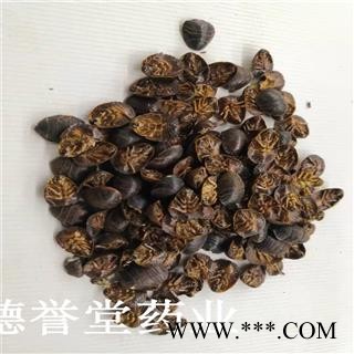 德誉堂药业 土鳖虫 小统 土元 土鳖虫 产地 山东图3