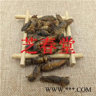 中药材批发 蝼蛄 蝼蛄干 拉拉蛄 土狗子 支持验货图2