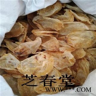 中药材批发 药用 鱼胶 鱼鳔 花胶 无硫无增重 支持药检 一手货源图2