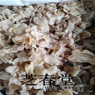 中药材批发 药用 鱼胶 鱼鳔 花胶 无硫无增重 支持药检 一手货源图4